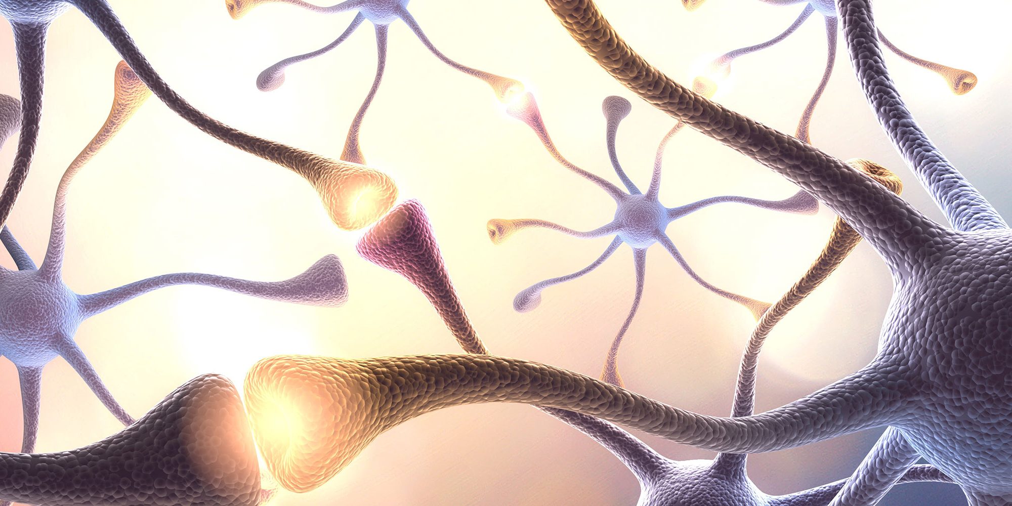 billionphotos-1086737-unconscious-bias-3000×1000 close up image on neurons