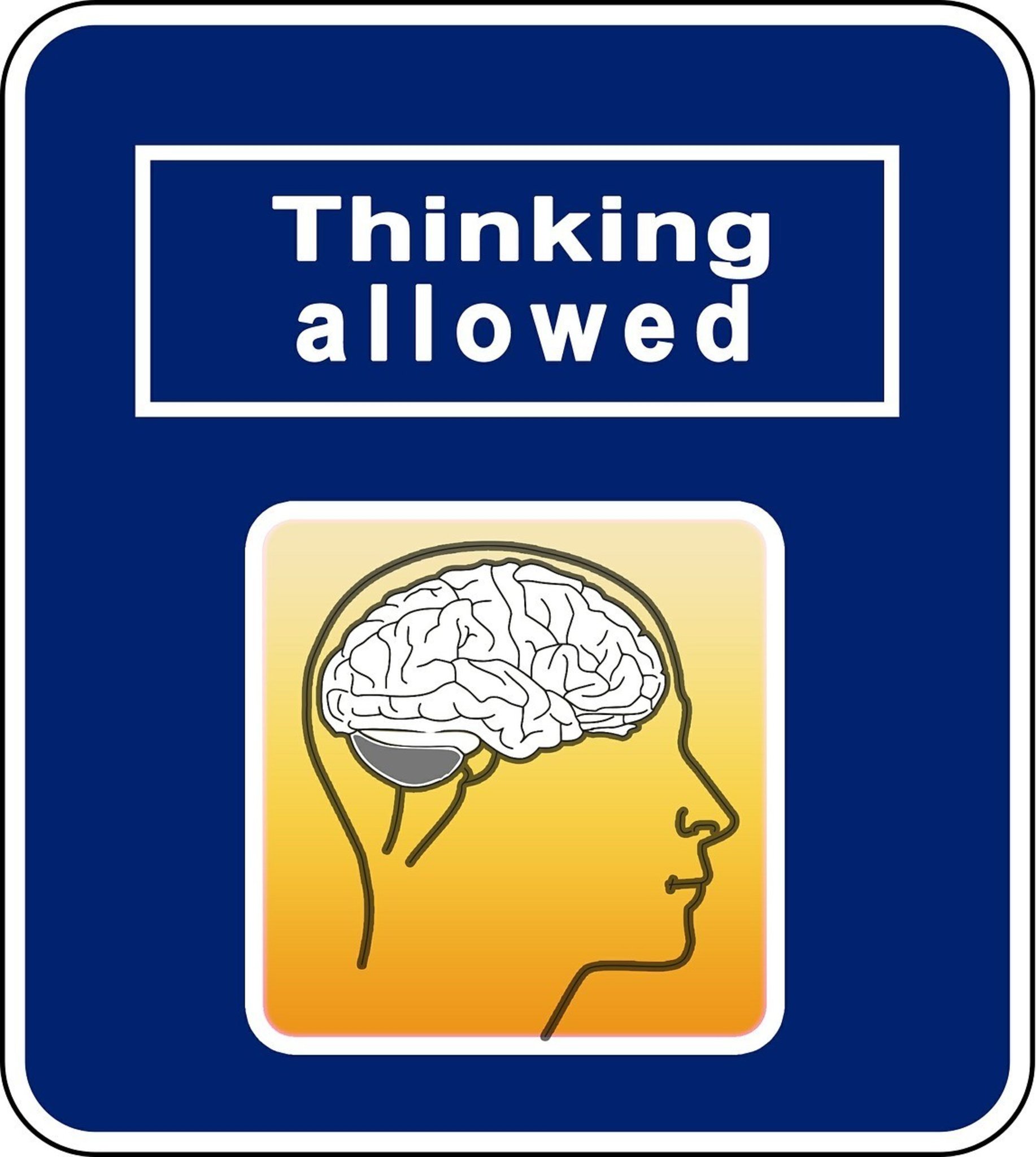 poster of the brain with the writing thinking allowed above